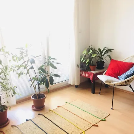 Central Bright And Cozy