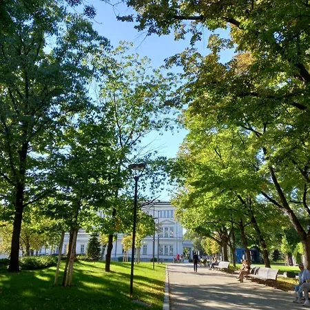 Central Bright And Cozy Sofia